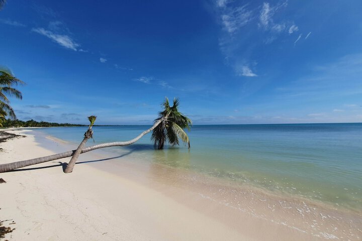 Beach 95 of 134