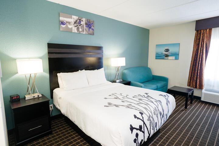 1 Queen Bed Accessible (15 of 31)
