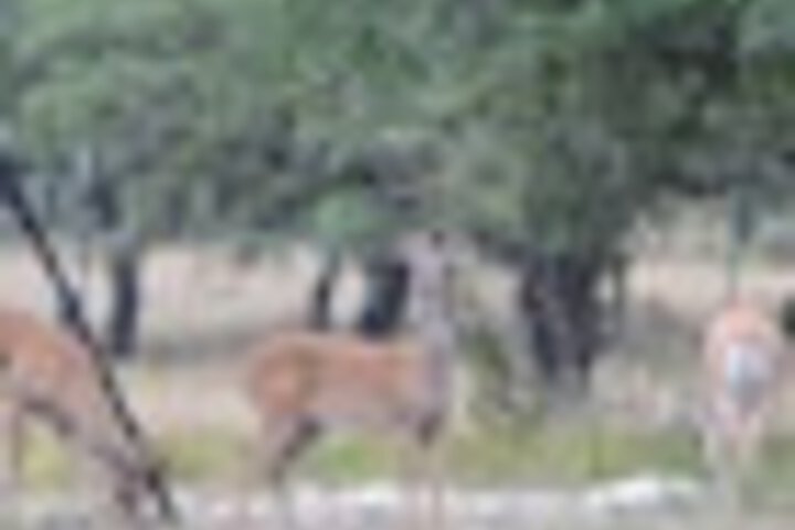 Hotel View 440 of 459