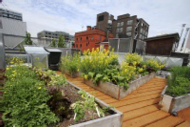 Terrace/Patio 42 of 420