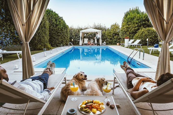 Pet Friendly 48 of 67