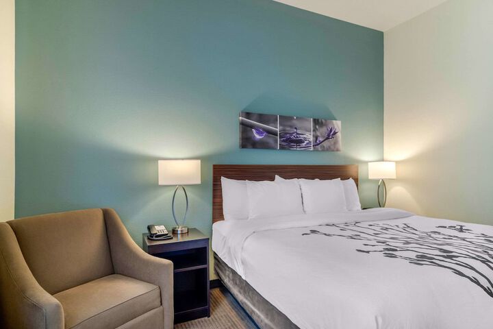 1 King Bed (5 of 9)