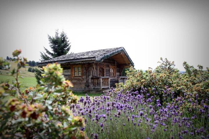 Og Le Manoir Des Montagnes in Les Rousses
