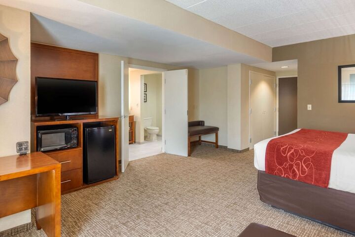 1 King Bed 2 Person Sofa Bed (15 of 30)