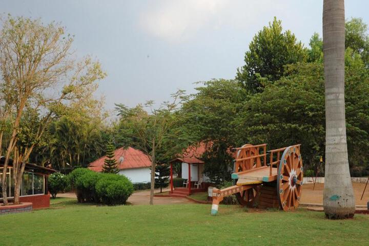 General 50 of 50