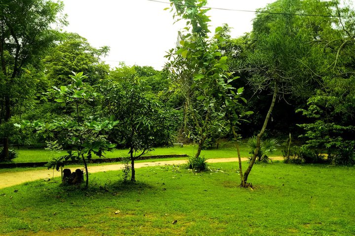 Property Grounds 29 of 31