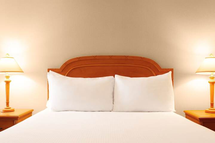 Deluxe King Bed (3 of 45)