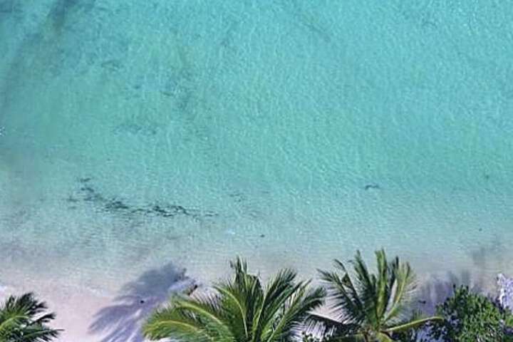 Beach 211 of 254