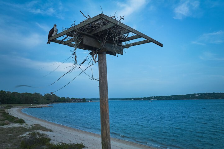 Childrens Activities 146 of 204