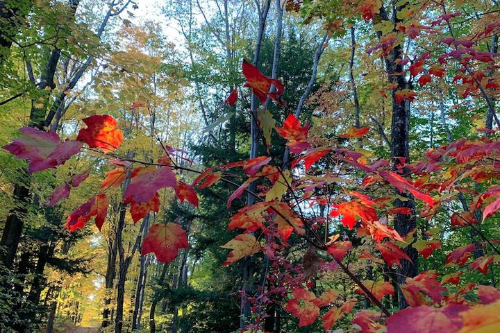 Outdoor Activities 39 of 52