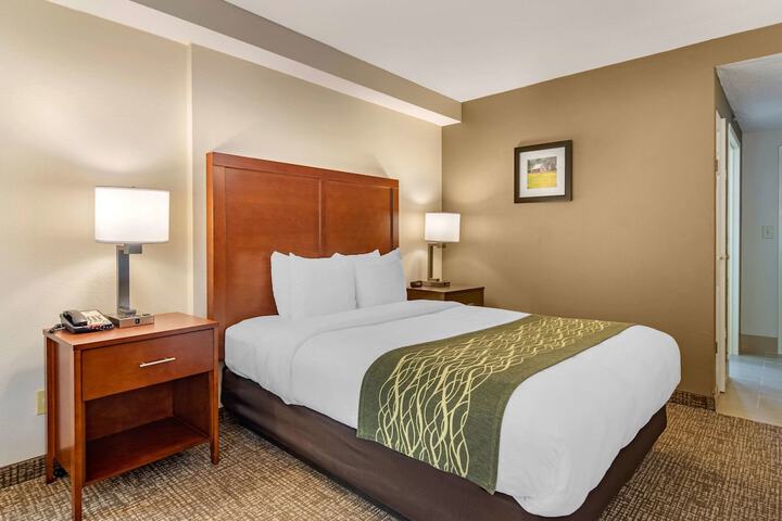 2 Queen Beds (3 of 10)