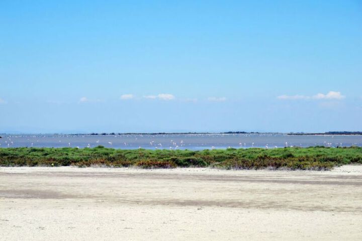 Beach 7 of 14