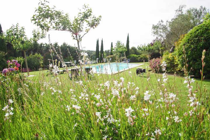 Pool Hotel
