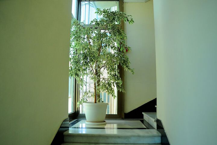 Hotel Interior 55 of 55