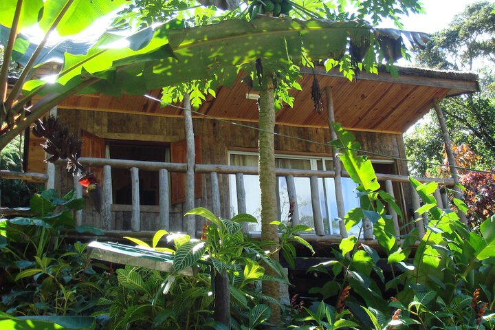 Room 4 of 26