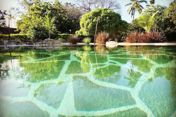 Pool 163 of 266