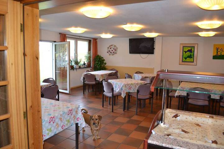 Photo 5