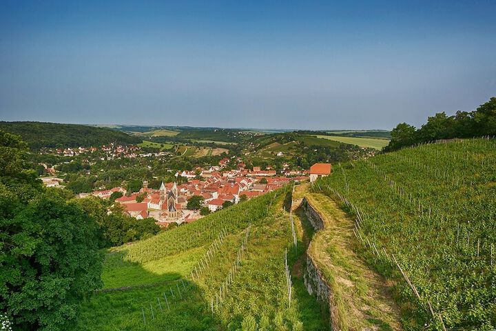 Winery