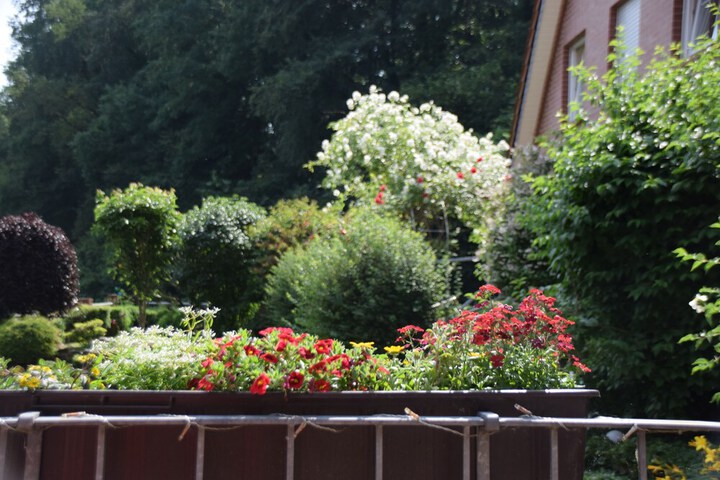Sundeck 80 of 92