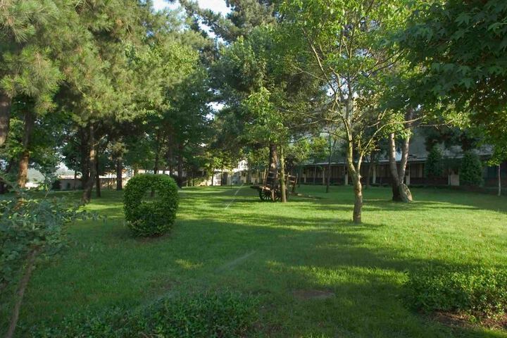 Property Grounds 39 of 52