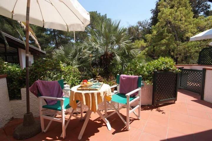 Terrace/Patio 49 of 110