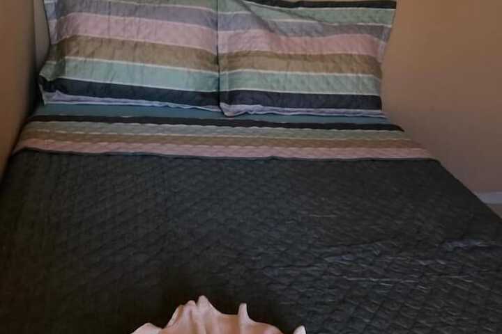 Room 25 of 48