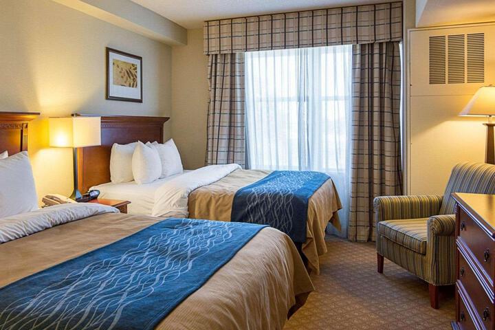 2 Queen Beds (6 of 12)