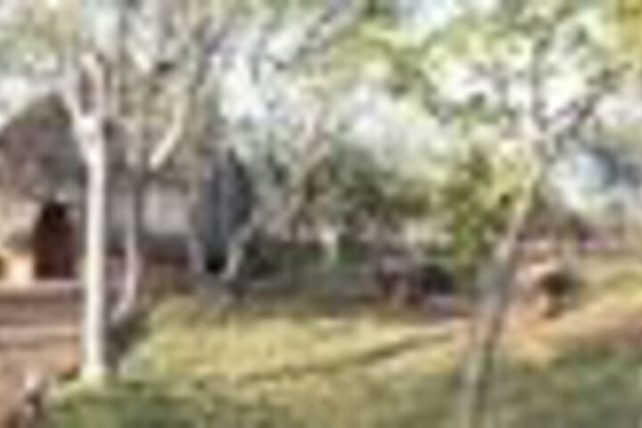Property Grounds 21 of 28