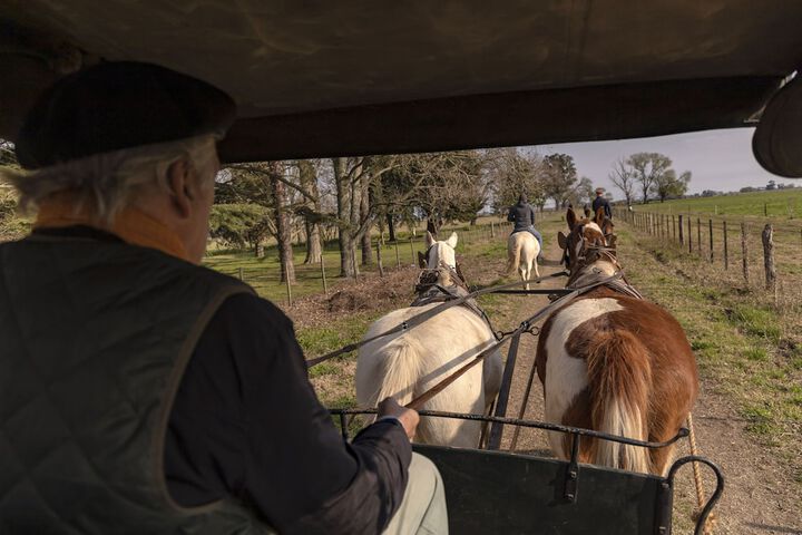 Hotel 46 of 48