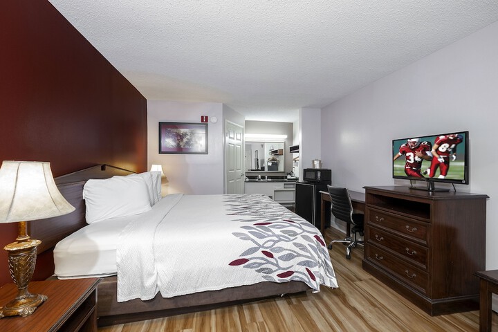 Suite King Bed Accessible (1 of 29)