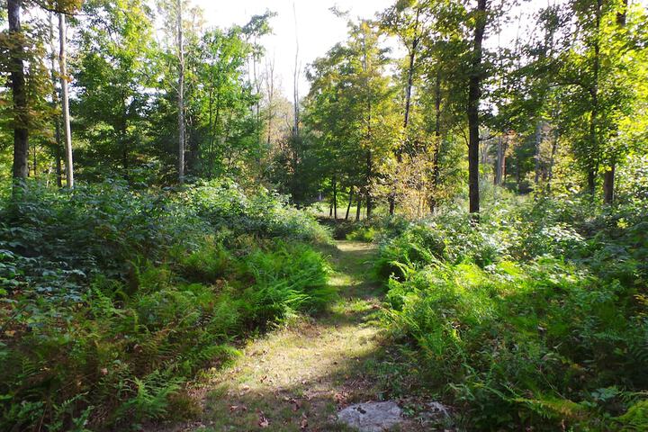 Property Grounds 243 of 246