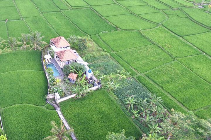 Puri Landu Ubud Luxury Villas