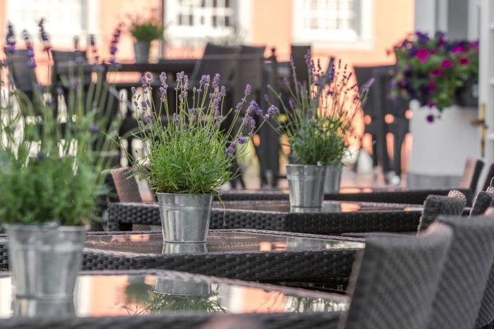 Terrace/Patio 42 of 44