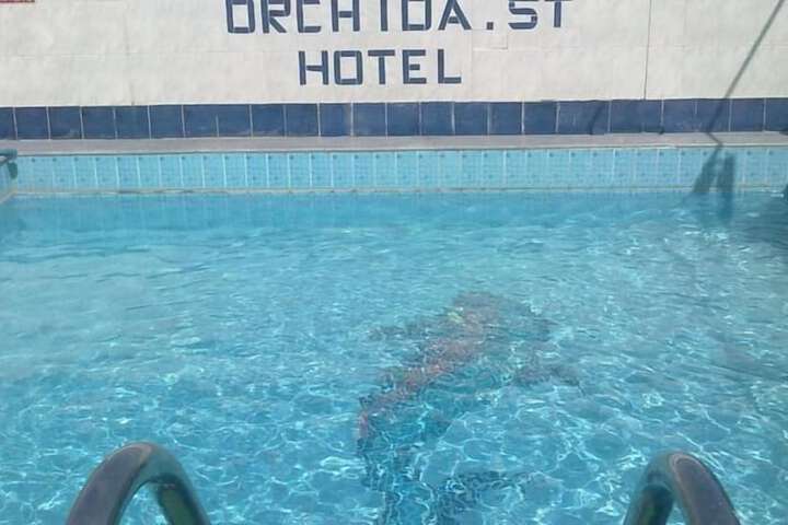 Pool Photo