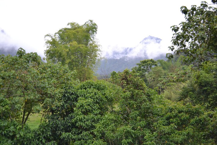 Hotel View 154 of 160