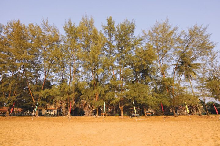 Beach 54 of 58