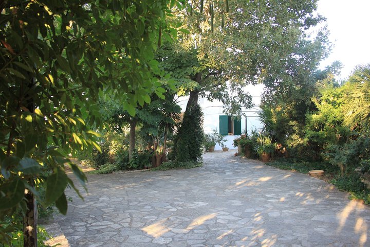 Hotel 4 of 57