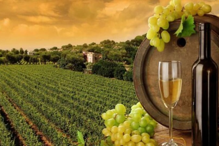 Winery