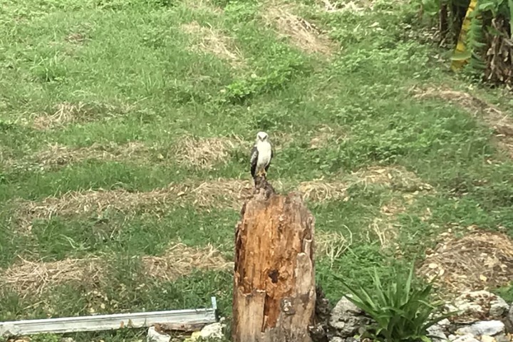 Hotel View 34 of 36