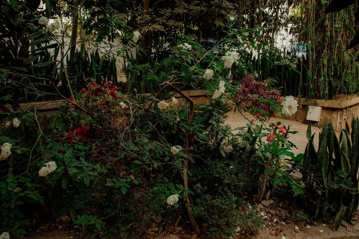 Property Grounds 33 of 47