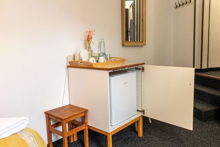 Mini-refrigerator