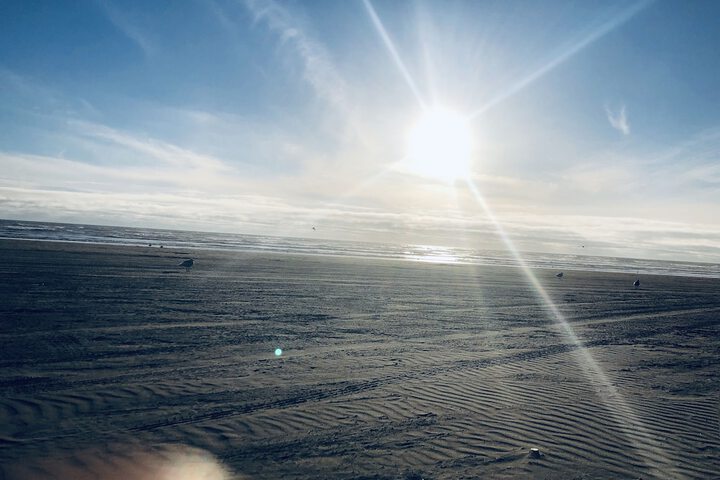 Beach 65 of 83