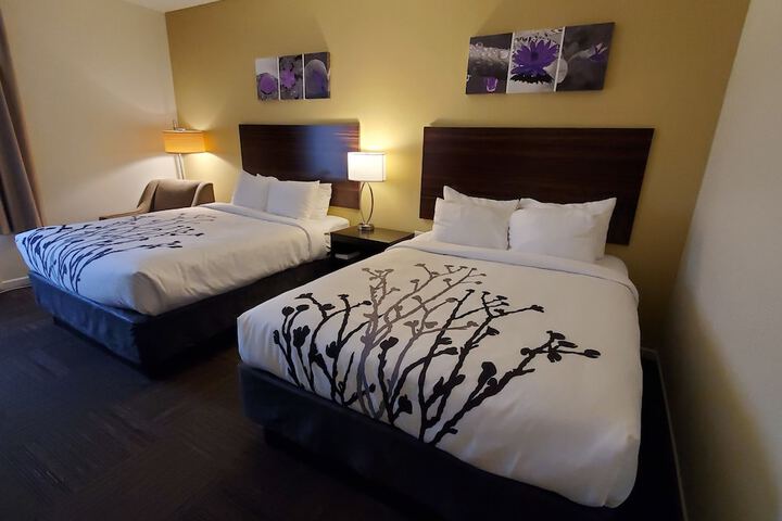 2 Queen Beds (9 of 17)