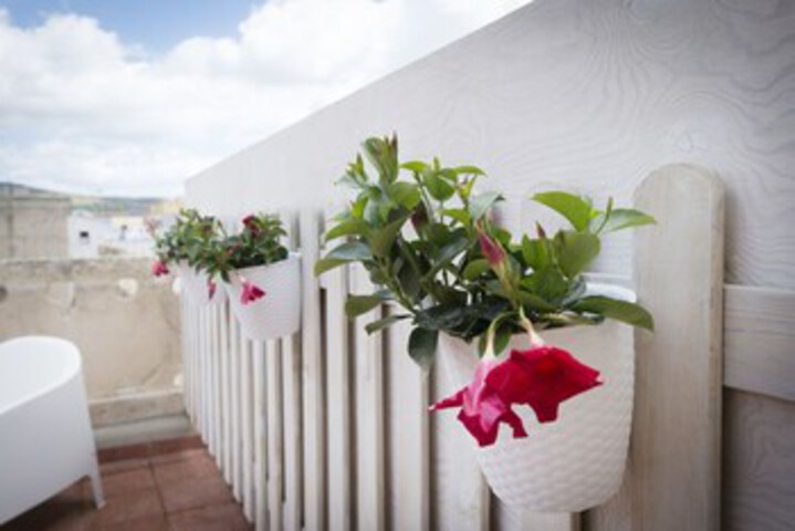 Terrace/Patio 60 of 61