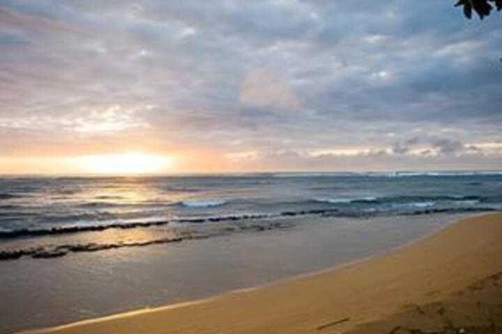 Beach 6 of 11
