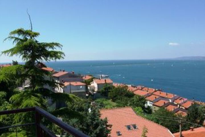 PARK HOTEL MUGGIA