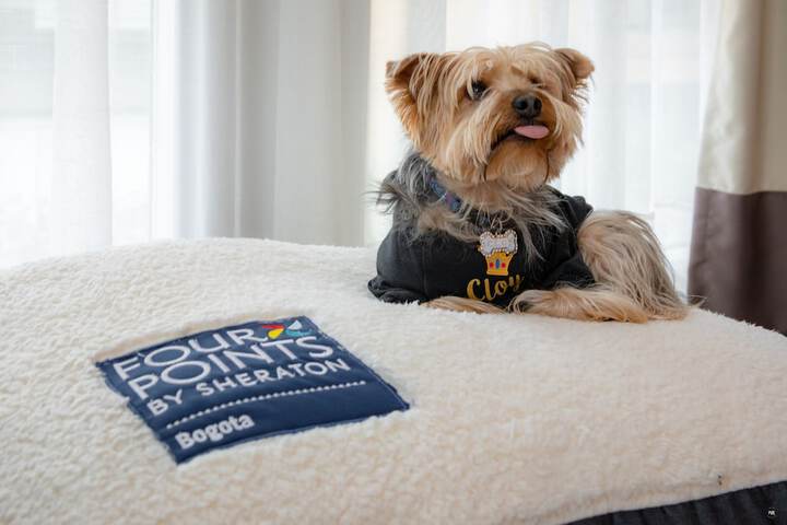 Pet Friendly 29 of 55