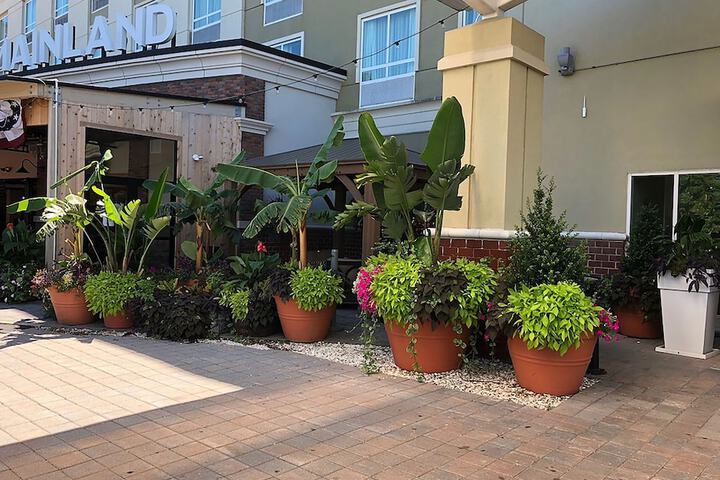 Hotel Exterior 86 of 94
