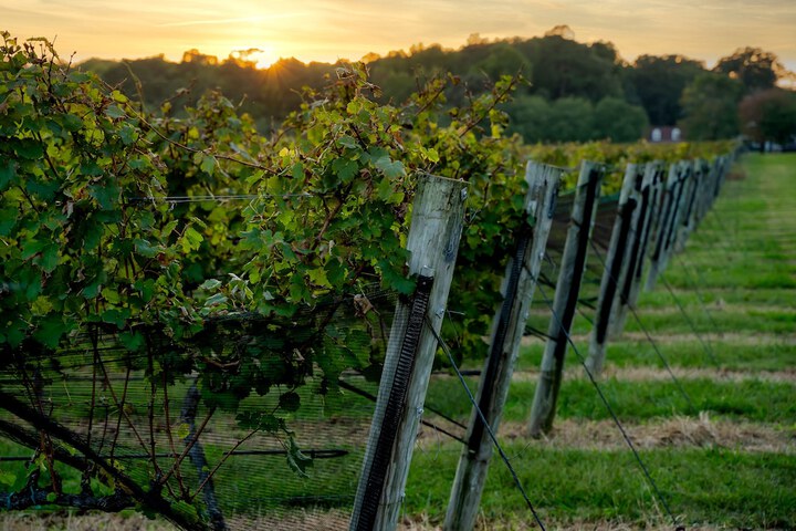 Hotel Exterior 187 of 192