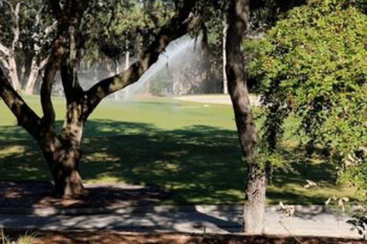 Property Grounds 15 of 17